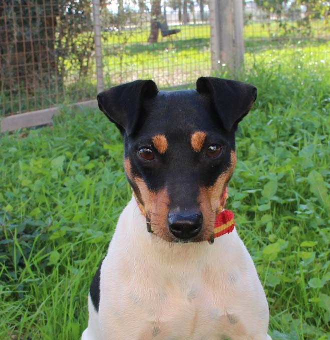 Nala-AP De Carthago Spartaria