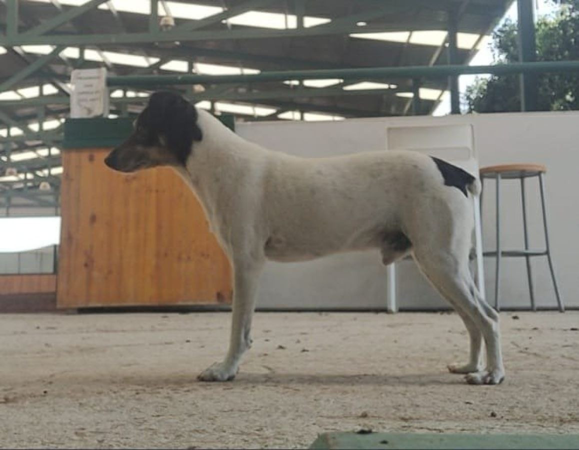 El Litri De las Siete Nubes