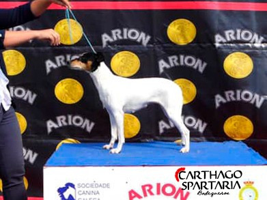 Leah De Carthago Spartaria