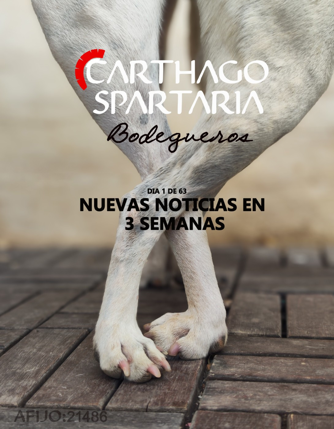 Matrimonio realizado